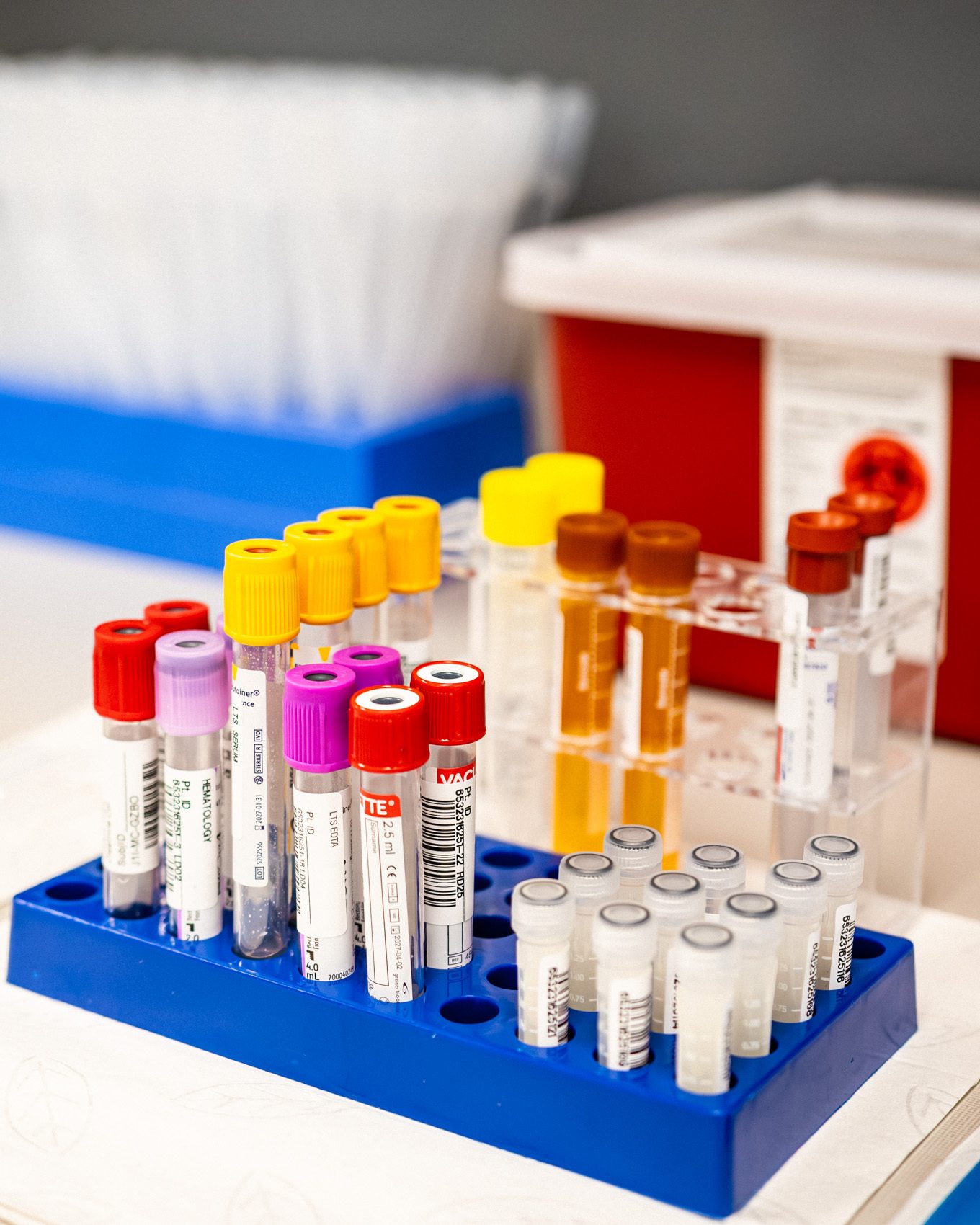 Sample tubes in the SCRI laboratory
